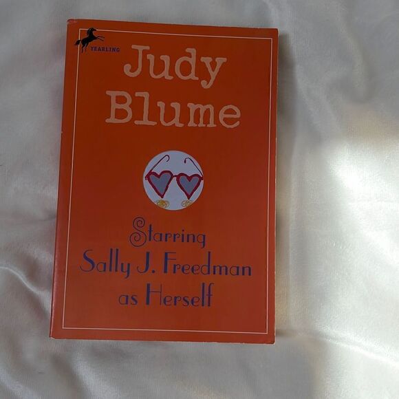 Chapter Book Bundle 4th-7th Grades - Picture 5 of 7